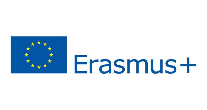 Erasmus plus opaque